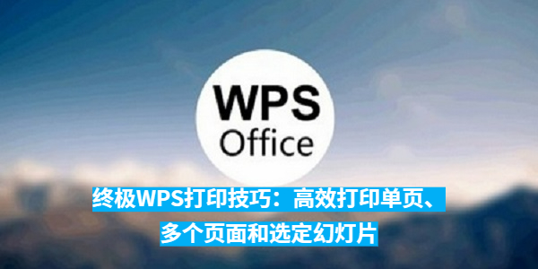 50828_xjll_8090.jpg